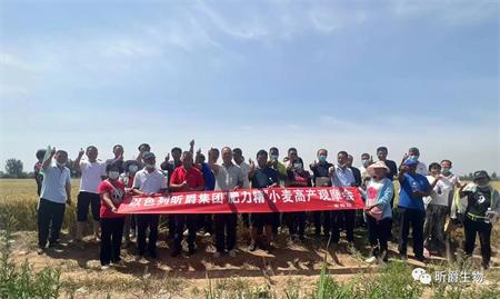 昕爵-肥力精 第四场小麦测产会！