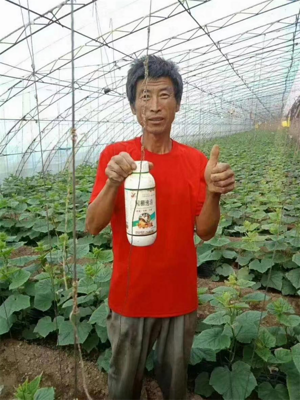 园棚速清清园剂