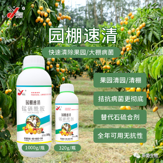 入冬后果树和大棚为什么病害增多？那是因为清园没做好。