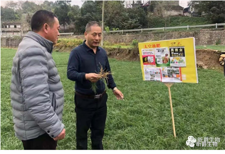 土壤板结酸化导致作物根系不好，快来试试肥万根