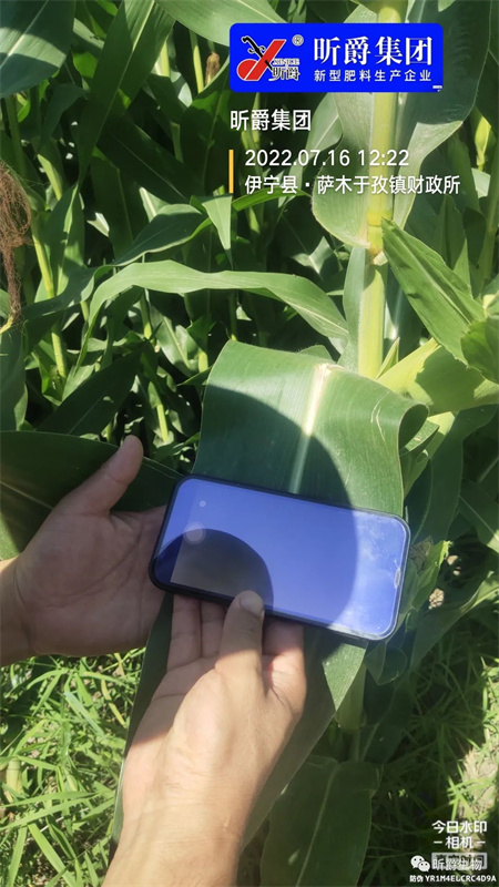 玉米追肥别再用尿素了，快来试试这款抗旱的液态复合肥吧