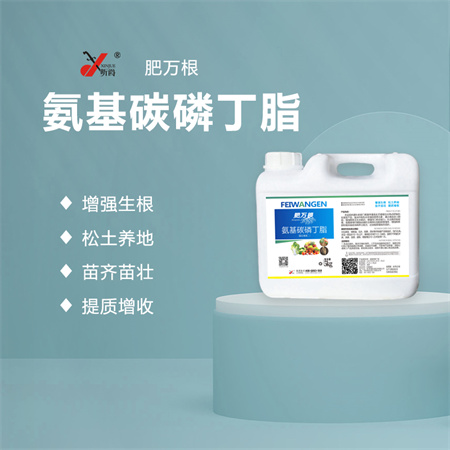 蔬菜定植后根系生长不良怎么办？