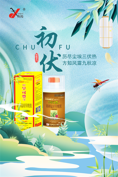 冬小麦播种在即，如何选择小麦拌种剂？