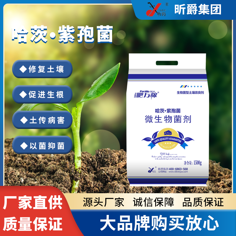 微生物菌剂哈茨&bull;紫孢菌