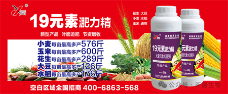 替代尿素的叶面追肥新产品淝力精