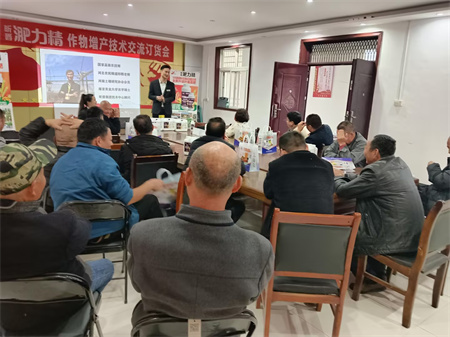 用新型液肥淝力精小麦增产有保障