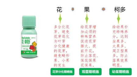 促花促果肥怎么选？看完昕爵花果柯&middot;多你就知道了