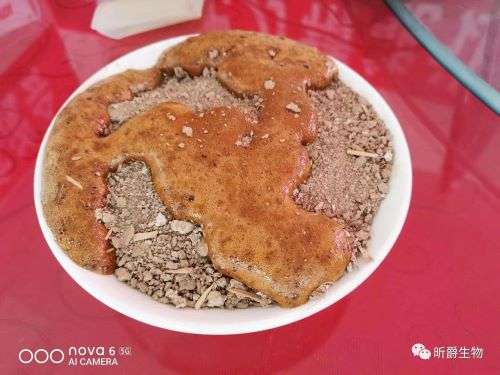 盐碱地改良就用肥万稼盐碱改良剂