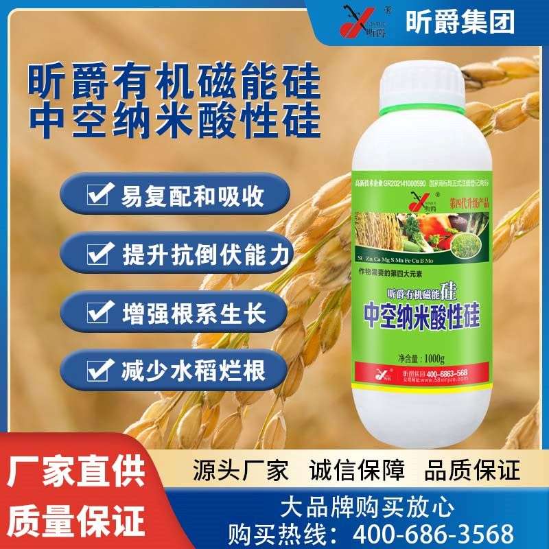 昕爵中空纳米酸性硅