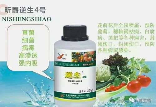 农作物得了真菌、细菌、病毒病害，找昕爵逆生4号