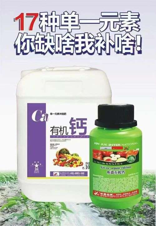 农作物缺钙危害大，赶快使用昕爵有机钙