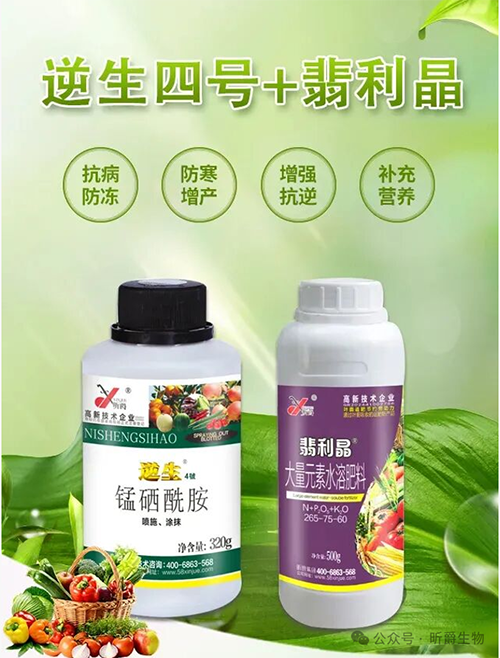 当逆生4号&ldquo;遇上&rdquo;翡利晶