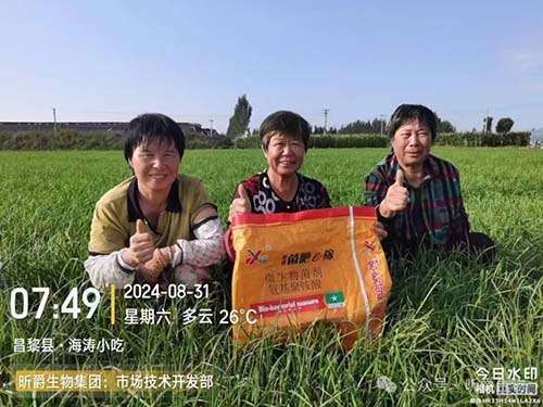 菌肥e稼适合盐渍化土壤里的水溶性有机菌肥